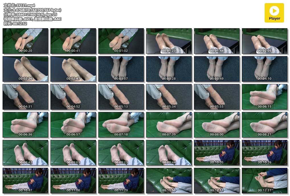 SY121.mp4.jpg