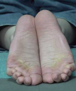 ��aaparyģ����Ƶ���������