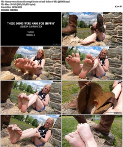 vc noelle noelle cowgirl boots old mill Soles of Silk